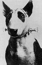 frankenweenie.jpg